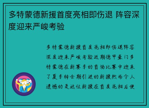 多特蒙德新援首度亮相即伤退 阵容深度迎来严峻考验