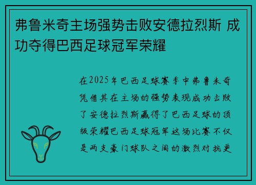 弗鲁米奇主场强势击败安德拉烈斯 成功夺得巴西足球冠军荣耀