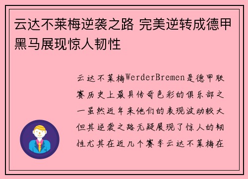 云达不莱梅逆袭之路 完美逆转成德甲黑马展现惊人韧性